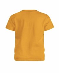 products_orangeshirt_back